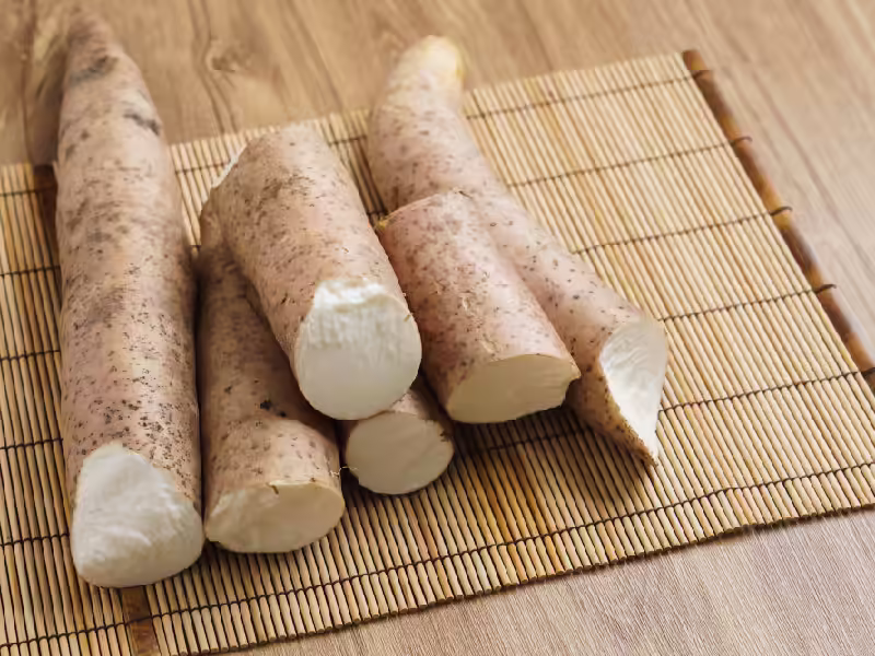 彰化芳苑半沙半土農地晨光景象